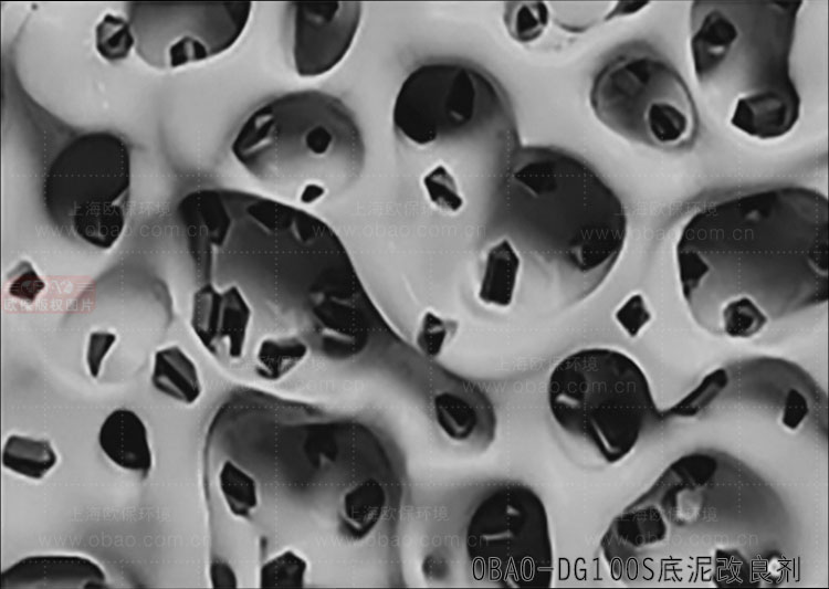 底泥改良剂
