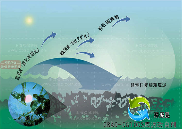 底泥原位修复