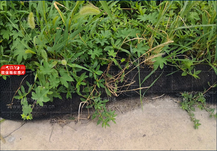 植生滤棒