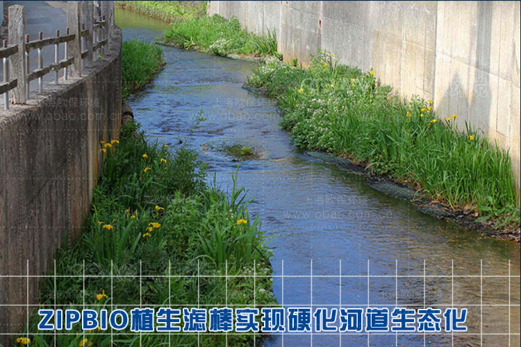 ZIPBIO植生滤棒