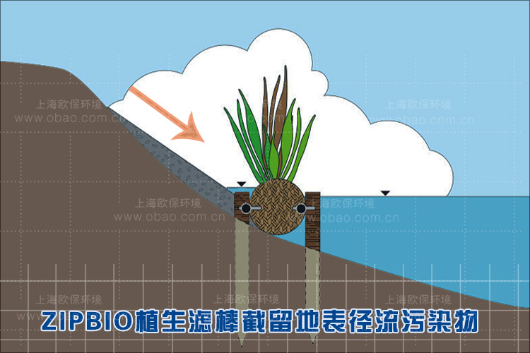 水土流失治理