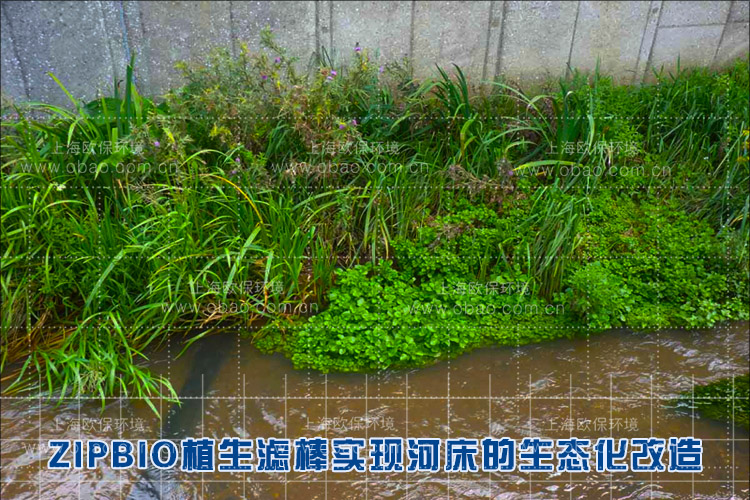 生态河道