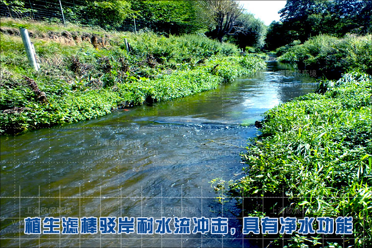 水土流失治理措施
