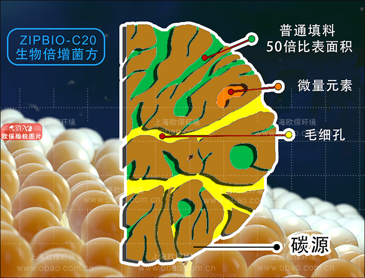 ZIPBIO生物倍增菌方
