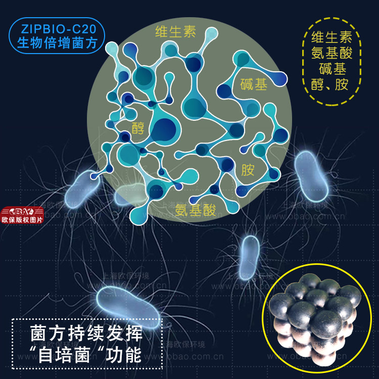 生物倍增菌方