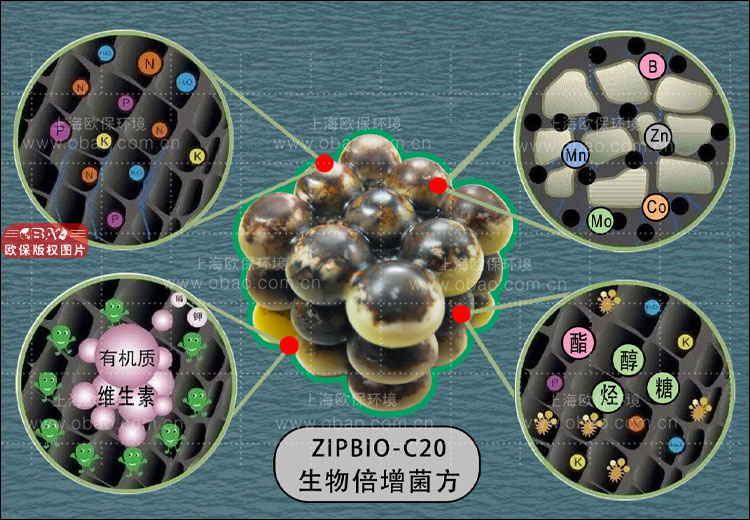 生物倍增