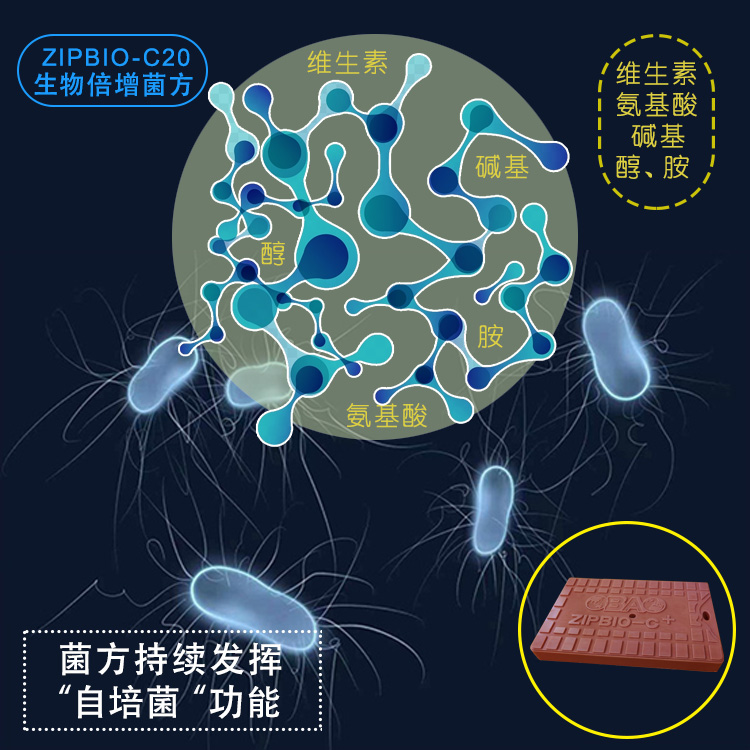 生物蜡块