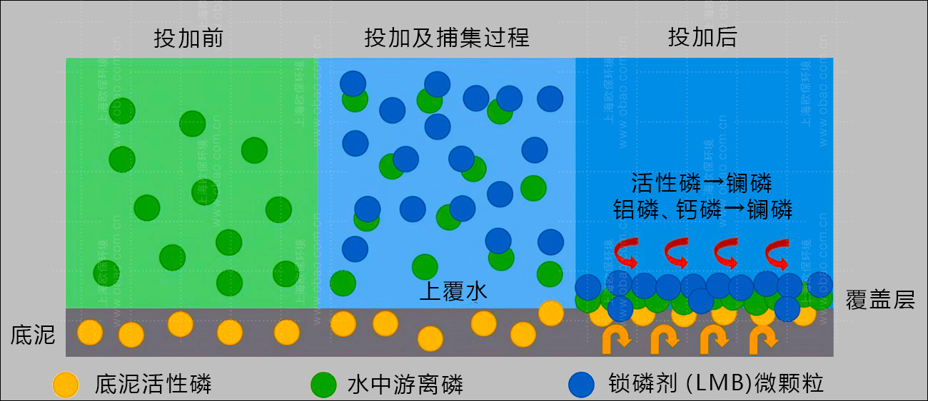 锁磷剂净水