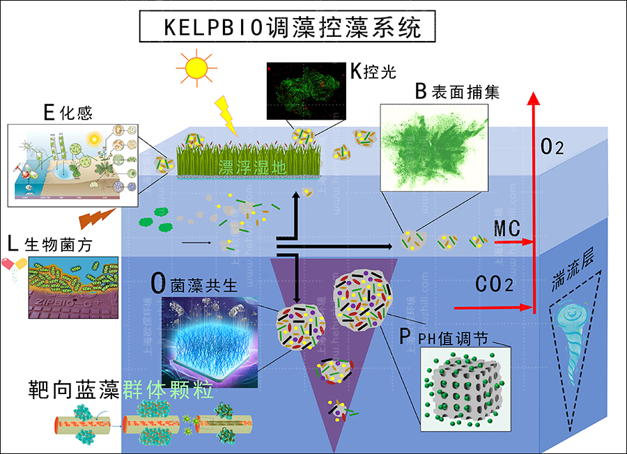 KELOBIO