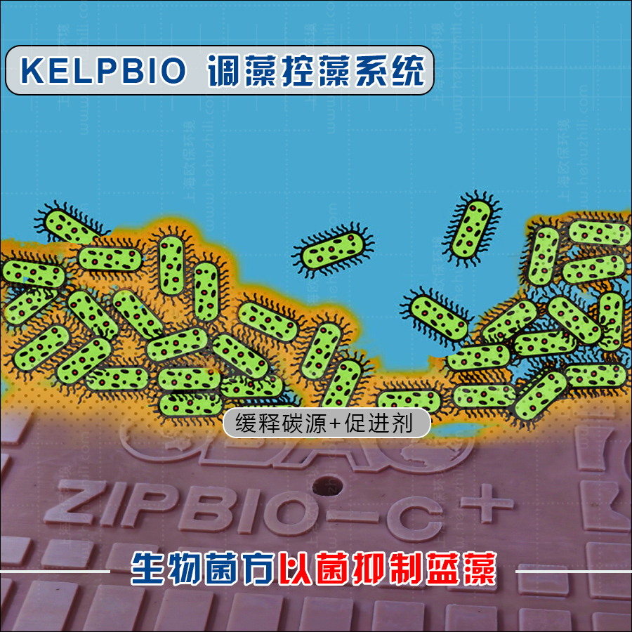 生物蜡块