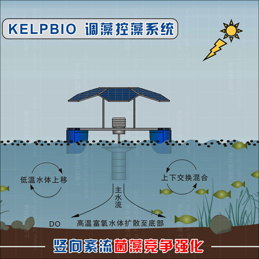 藻菌竞争