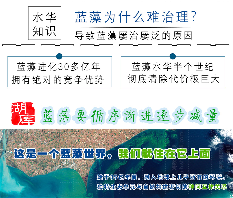 蓝藻水华