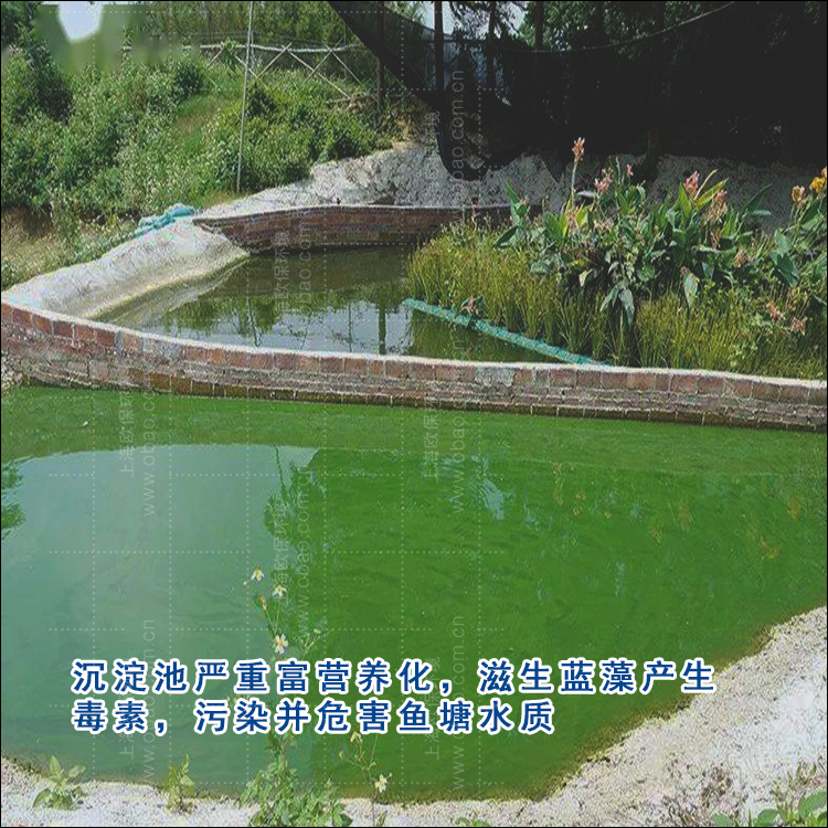 三池两坝