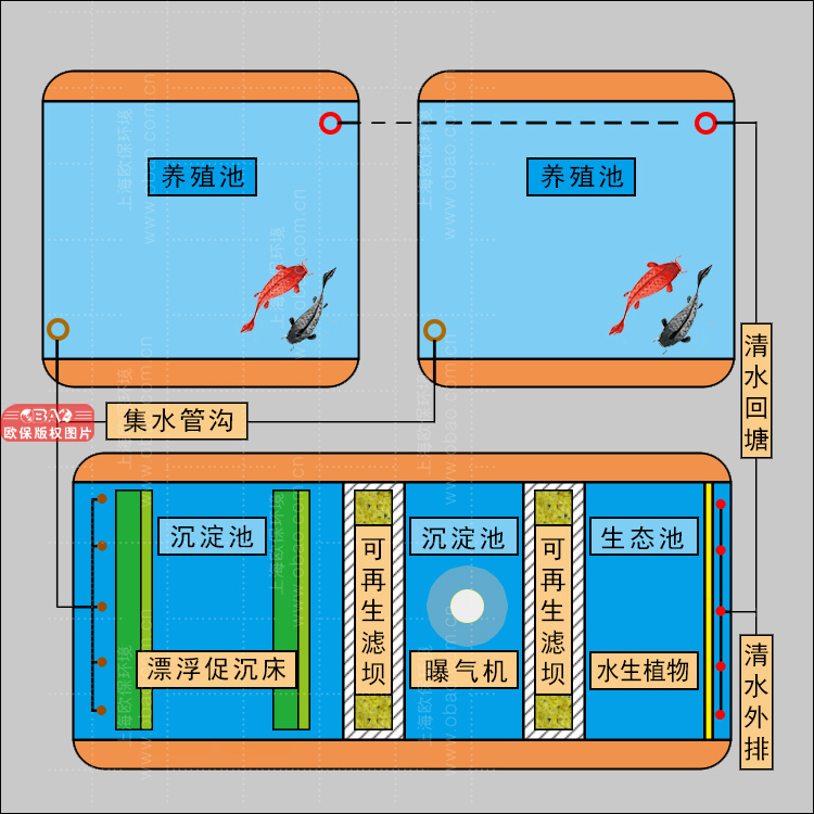 养殖尾水处理