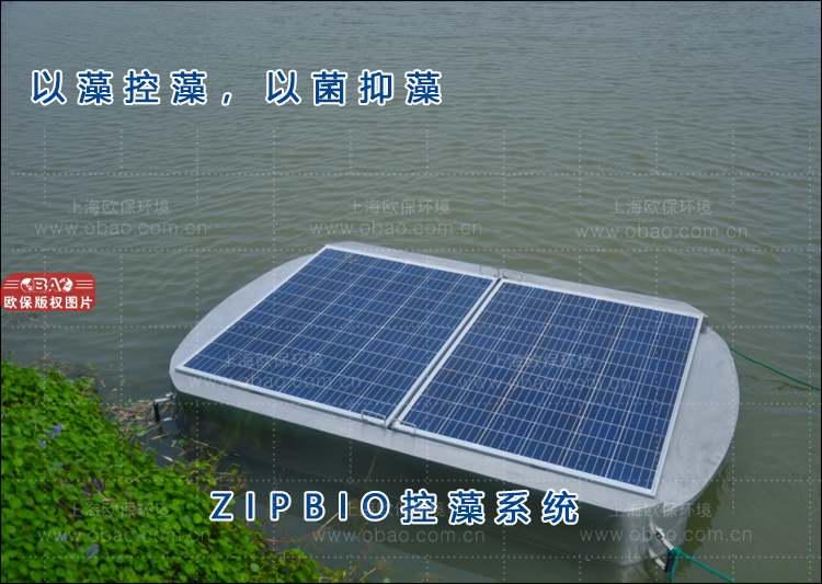 蓝藻治理