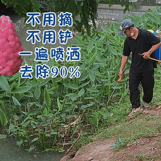 消除福寿螺