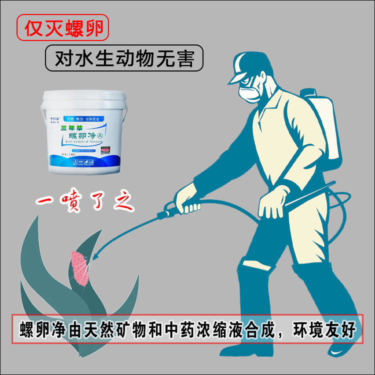 螺卵净