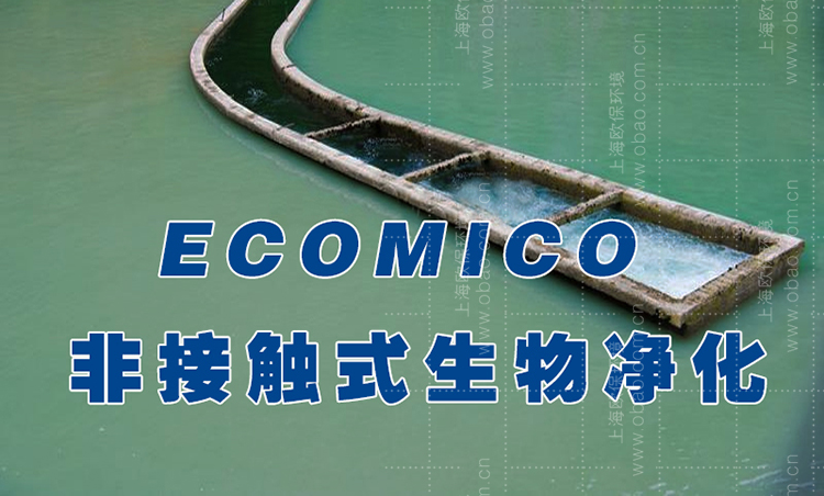 水源地治理