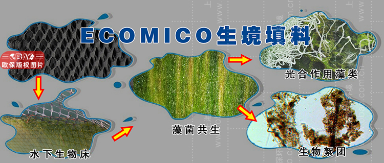 ECOMICO