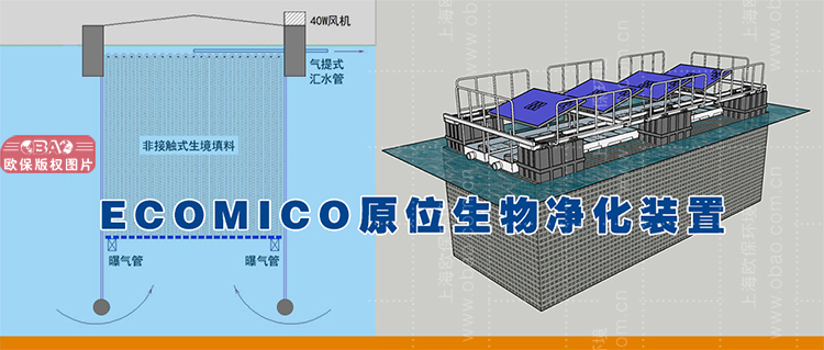 水库水源地