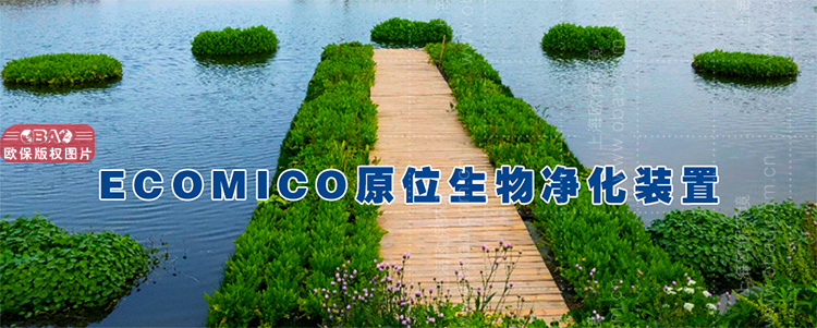 非接触式生物净化装置