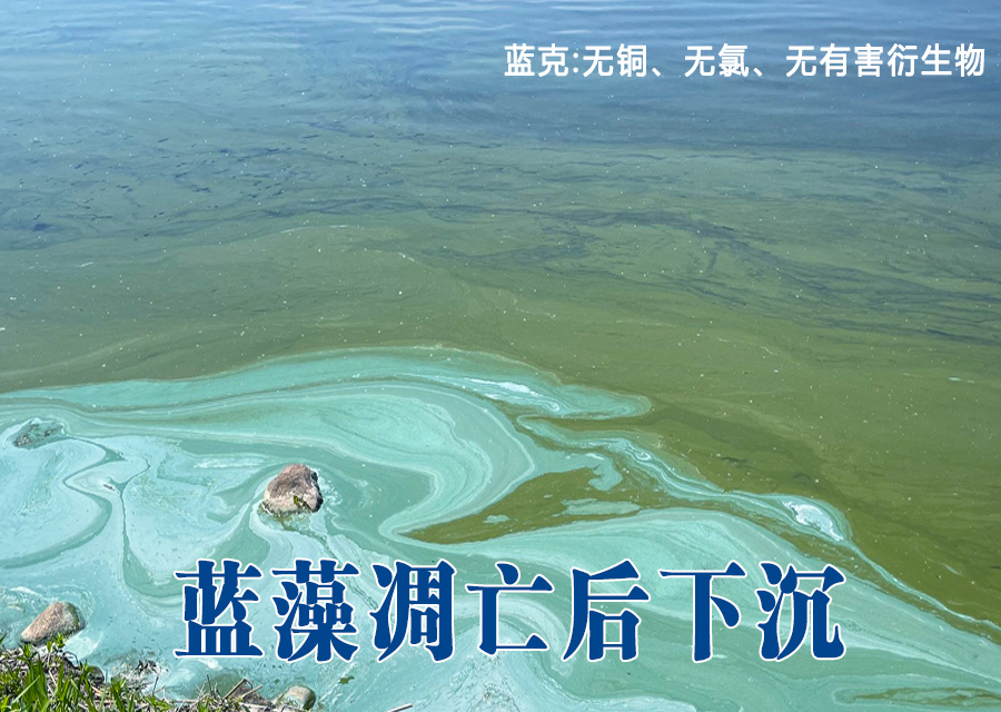 治理蓝藻