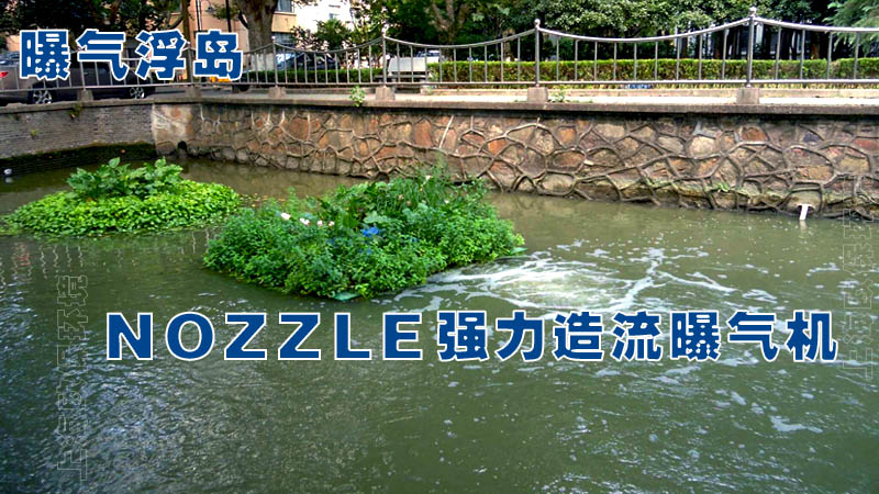 上海华东理工大学河道治理