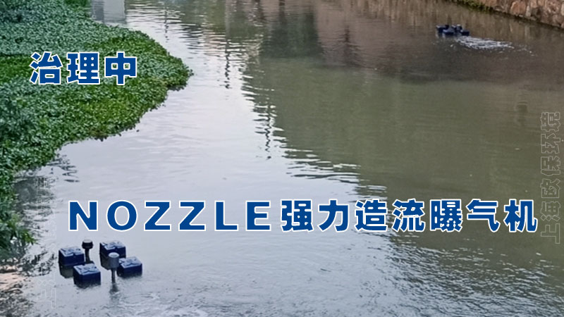 福州市东郊河、水上公园水体修复