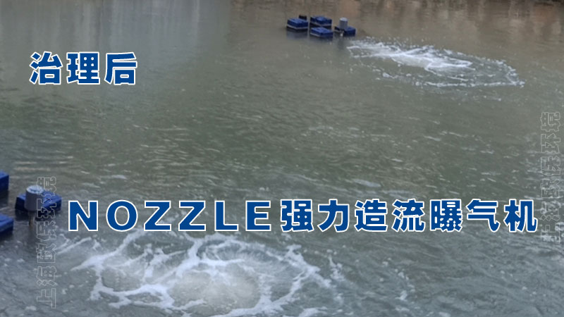 福州市东郊河、水上公园水体修复
