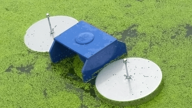 OBAO-frog750 OBAO-frog750