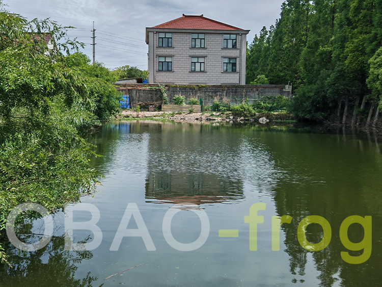 池塘浮萍消除 池塘浮萍消除