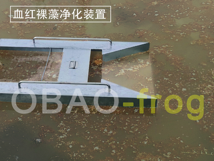 Euglena Sanguinea Purification Device