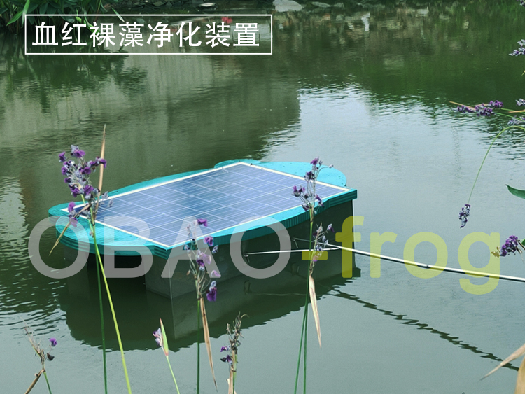 Euglena Sanguinea Purification Device