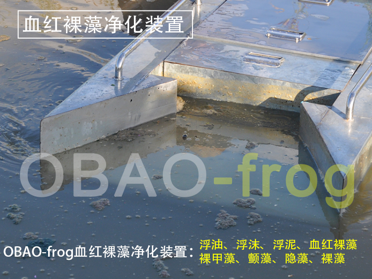 Euglena Sanguinea Purification Device