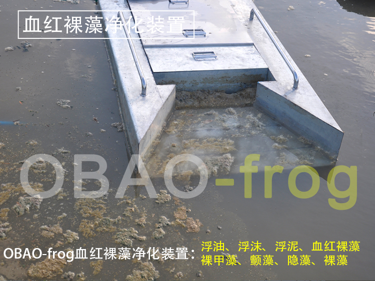 Euglena Sanguinea Purification Device