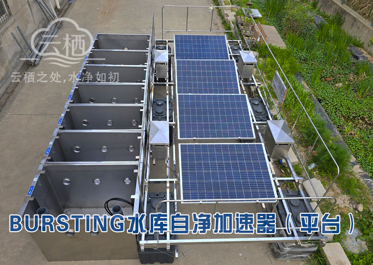水库自净加速器