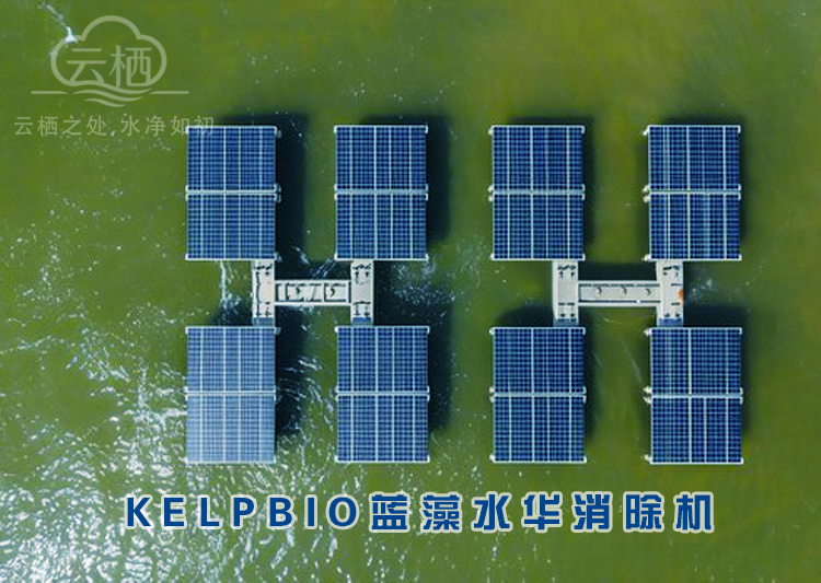 KELPBIO蓝藻水华消除机