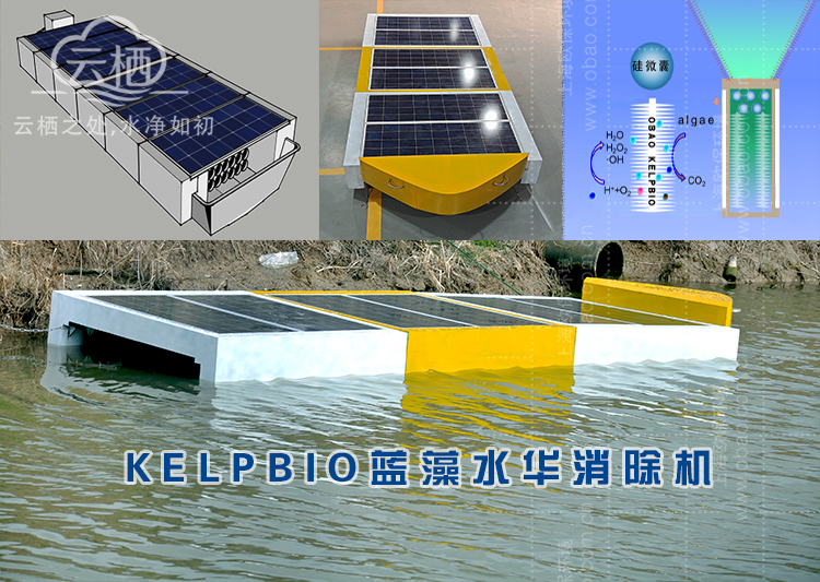 KELPBIO蓝藻水华消除机