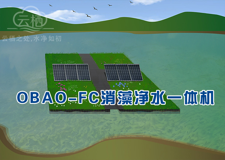 消藻净水一体机