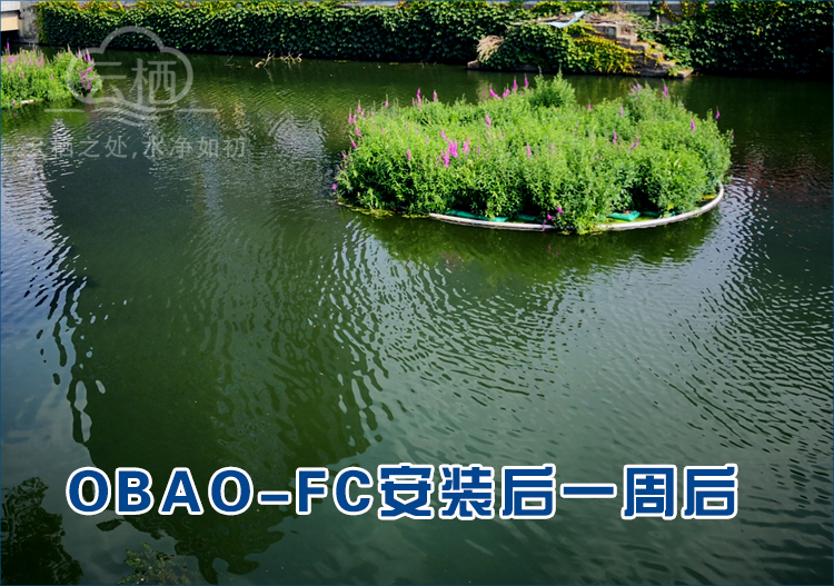 消藻净水一体机