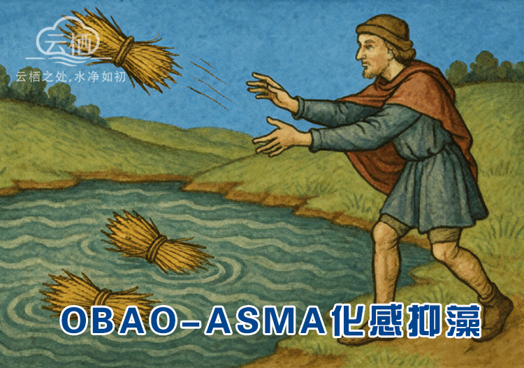 化感控藻生物包 化感控藻生物包