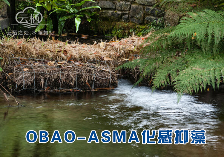 化感控藻生物包