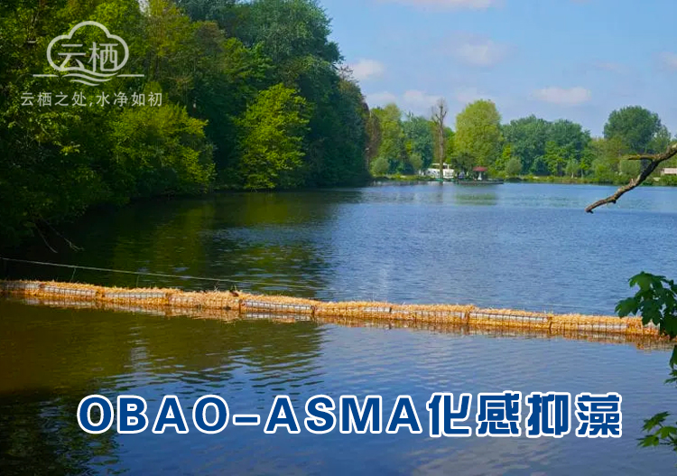 OBAO-ASMA化感抑藻