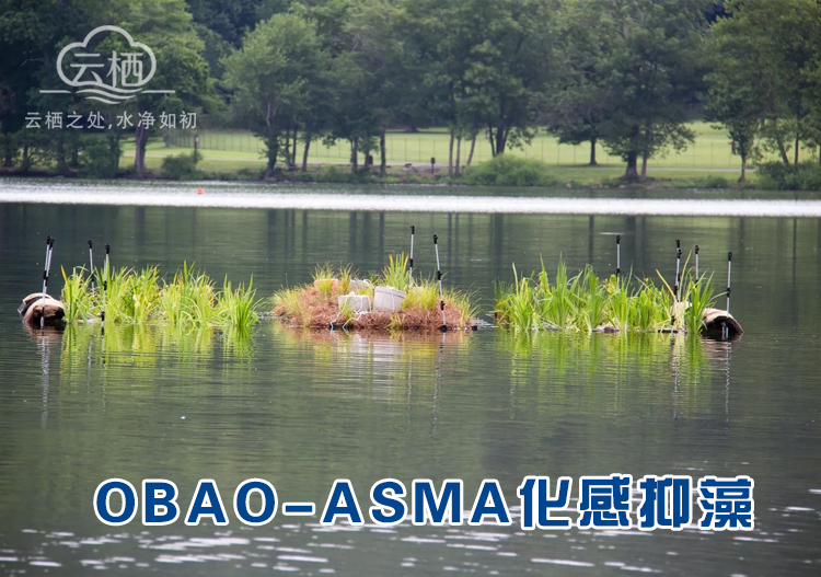 化感控藻生物包