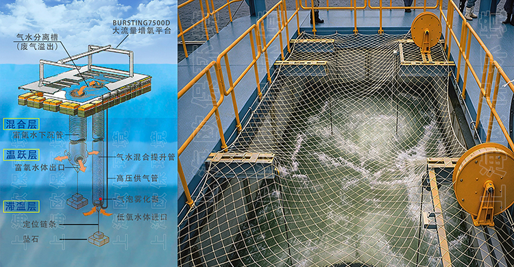 水库底层曝气扩散器 水库底层曝气扩散器