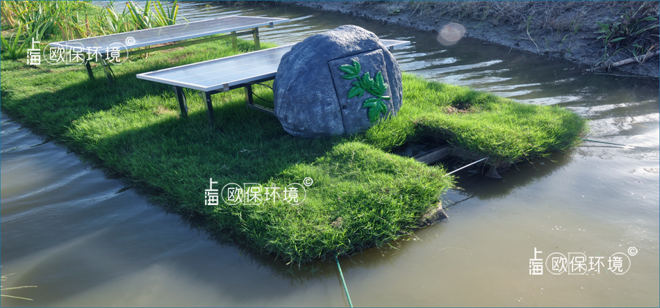 蓝藻治理