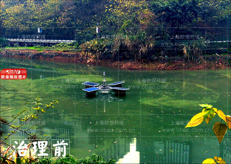 水库水华
