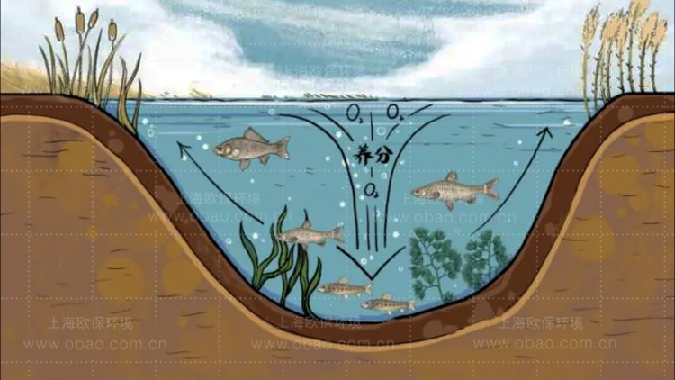 水库对流