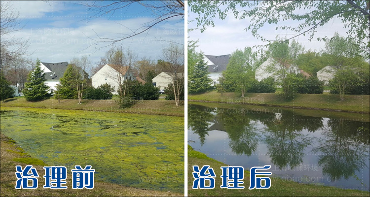 水绵治理