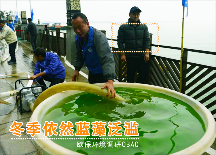 蓝藻治理.jpg